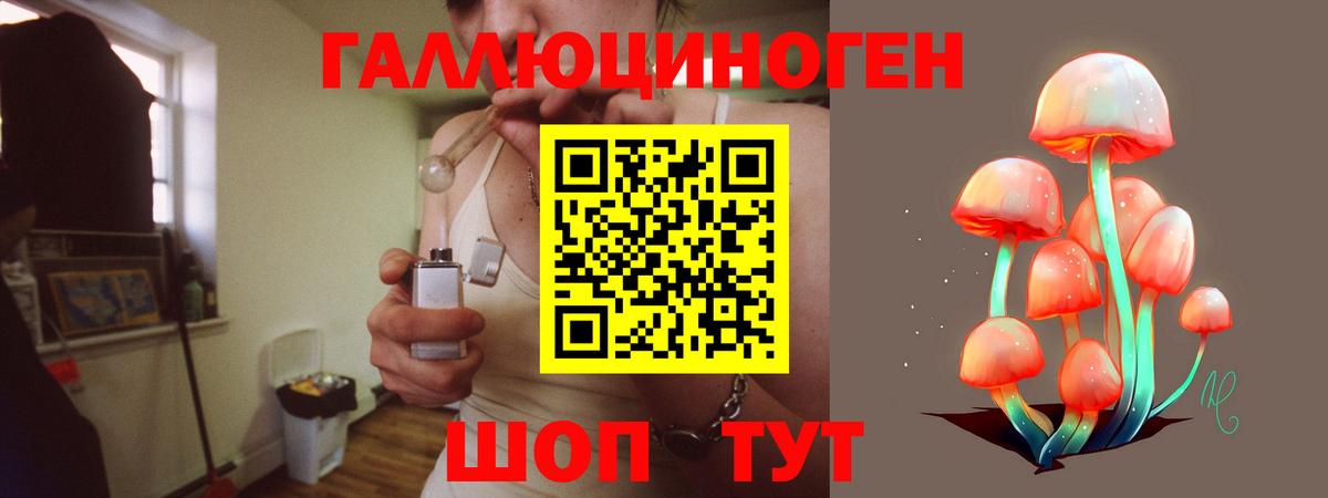 Советск  Псилоцибиновые грибы Psilocybine cubensis  Вход с VPN 